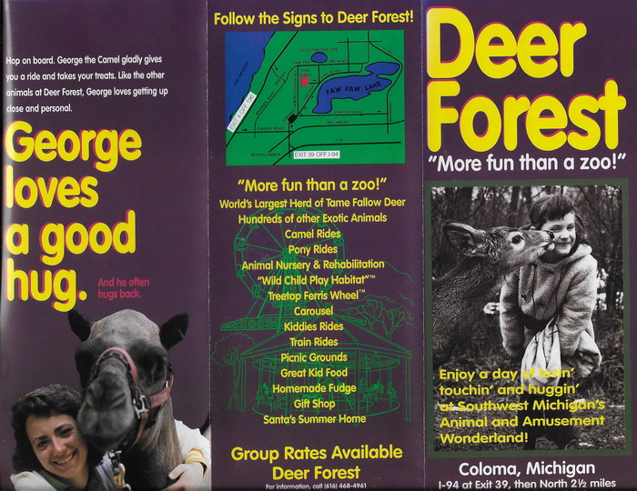 Deer Forest - Brochure